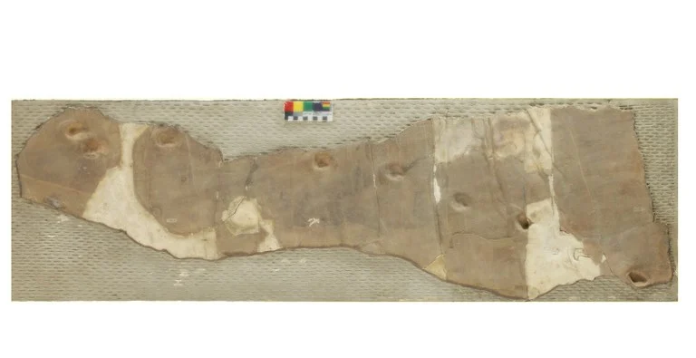 Farlowichnus rapidus é o nome dado às pegadas encontradas nas cercanias de Araraquara, interior de São Paulo, no início dos anos 1980,