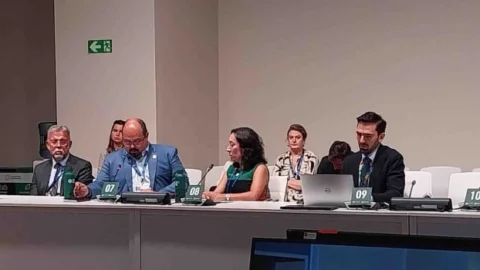 Governo de Minas debate transição para energia renovável na COP28