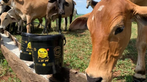 Governo de Minas propõe reduzir ICMS de produtores rurais afetados pela seca 8 Governo de Minas propõe reduzir ICMS de produtores rurais afetados pela seca