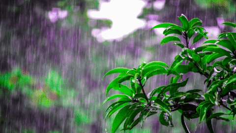 Dezembro: como será o clima no Brasil?