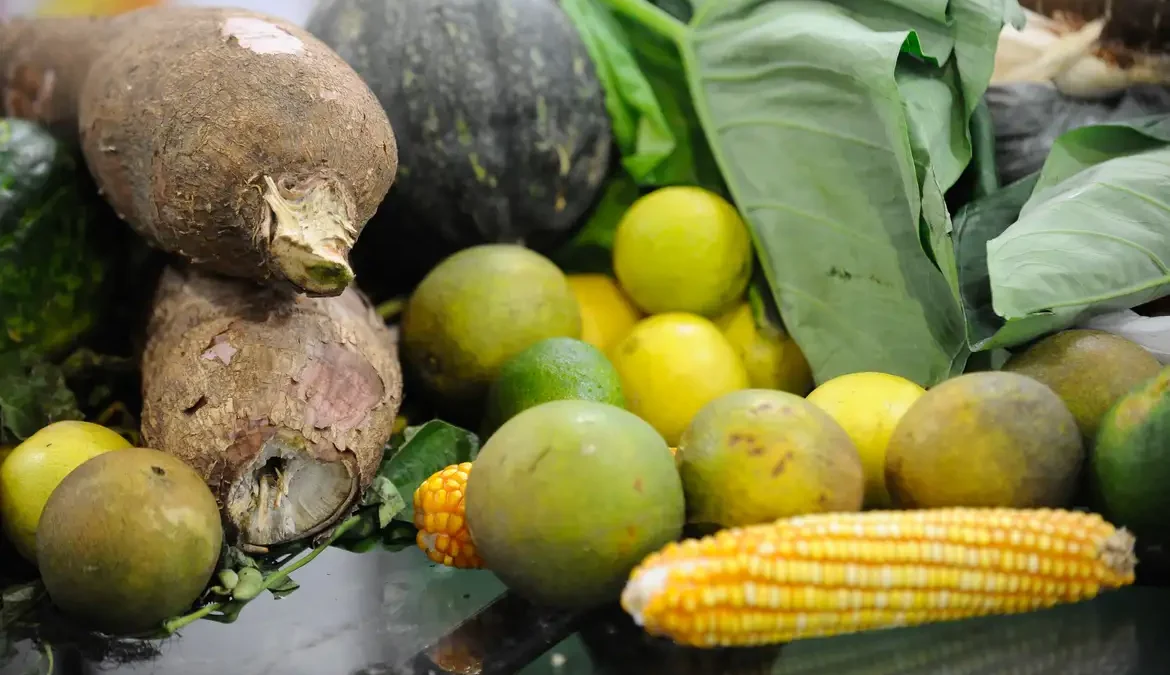 Dados da Agência Nacional de Vigilância Sanitária (Anvisa) mostram que 25% dos alimentos de origem vegetal consumidos no Brasil têm