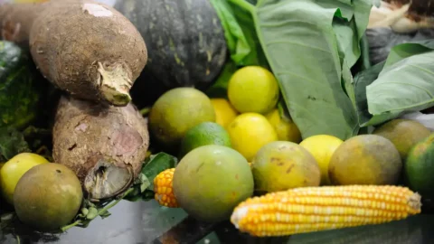 Agrotóxicos: 25% dos alimentos de origem vegetal no país têm resíduos 3 Agrotóxicos: 25% dos alimentos de origem vegetal no país têm resíduos