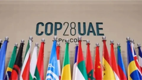 COP28 discute nova regulamentação da União Europeia para compra de produtos sustentáveis com objetivo de frear desmatamento 7 COP28 discute nova regulamentação da União Europeia para compra de produtos sustentáveis com objetivo de frear desmatamento