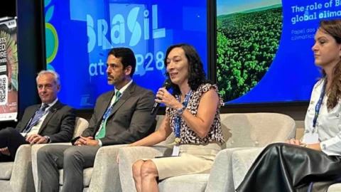 Na COP28, Governo de Minas modera discussão sobre o papel dos estados brasileiros para o alcance das metas climáticas