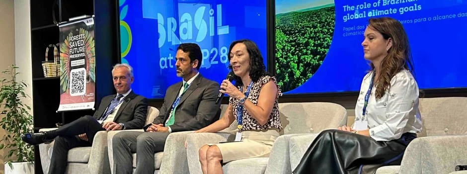 As ações desenvolvidas por governos estaduais para mitigar os efeitos das mudanças climáticas estão sendo destaque na Conferência