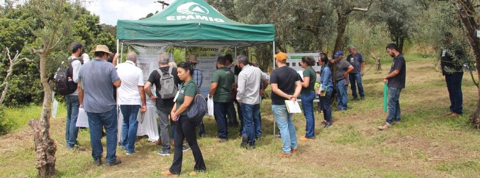 Epamig anuncia data oficial do Azeitech 2024 1 A Empresa de Pesquisa Agropecuária de Minas Gerais (Epamig) definiu a data oficial do Azeitech 2024, em 2/2/2024