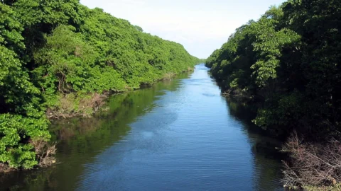 Aprovada norma que simplifica o financiamento de projetos que garantem conservação e qualidade da água em Minas 3 Aprovada norma que simplifica o financiamento de projetos que garantem conservação e qualidade da água em Minas
