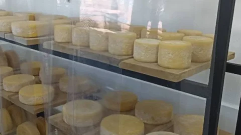 Pesquisadores mineiros finalizam projeto de caracterização dos queijos artesanais das Serras da Ibitipoca