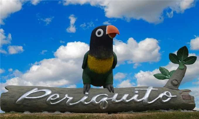 O caso aconteceu em Periquito, cidade próxima de Governador Valadares. Reprodução da Internet