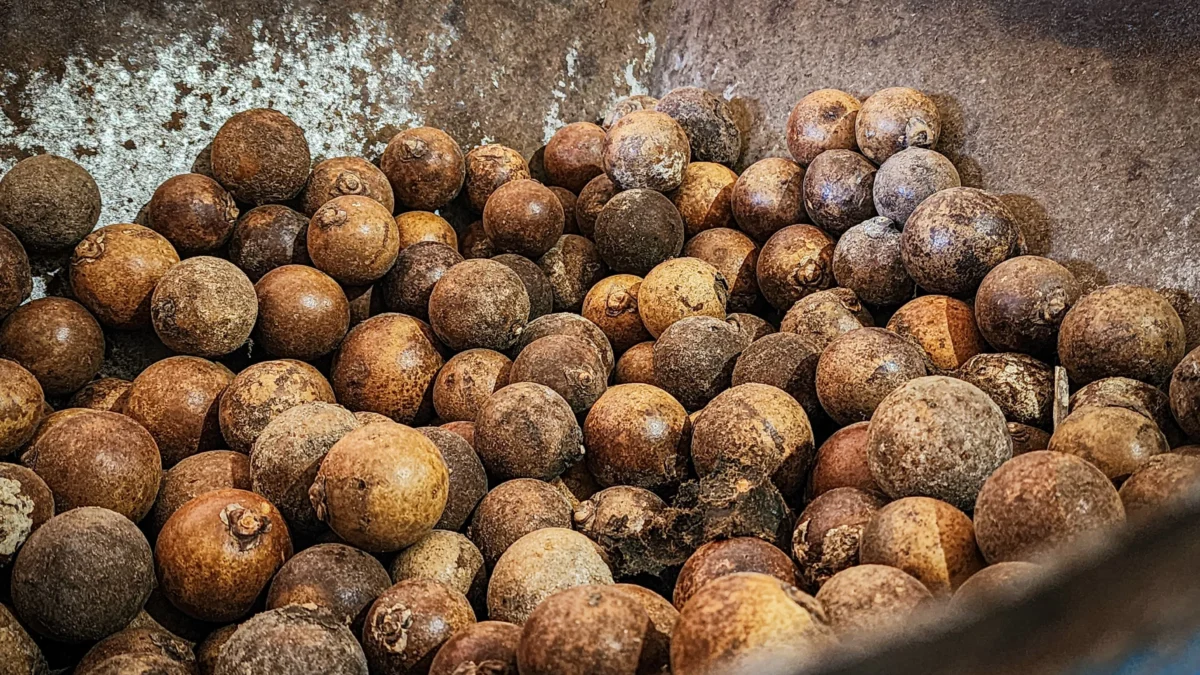 Incentivo do Governo de Minas beneficia 4,8 mil agricultores que coletam e processam frutos do Cerrado mineiro 1 O Governo de Minas tem investido em ações de agroextrativismo para apoiar o sustento de agricultores e garantir condições de exploração