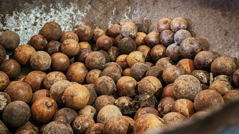 Incentivo do Governo de Minas beneficia 4,8 mil agricultores que coletam e processam frutos do Cerrado mineiro