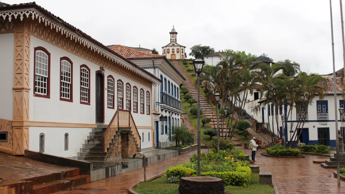 Nova espécie de planta é descoberta durante expedição no município do Serro, na região Central de Minas 1 Uma nova espécie de planta foi descoberta nas paisagens da Cadeia do Espinhaço, no município de Serro, na região Central de Minas