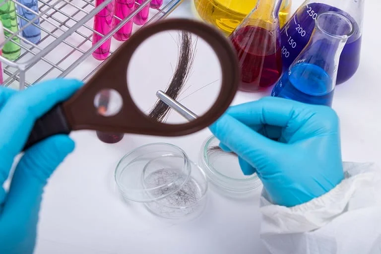 Termina hoje prazo para exames toxicológicos de motoristas 1 O exame busca também identificar se o condutor está fazendo uso regular de substâncias proibidas