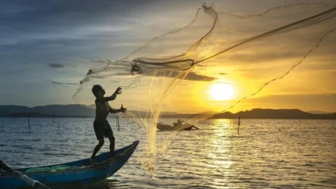Sai cronograma do auxílio extraordinário para pescadores da Região Norte