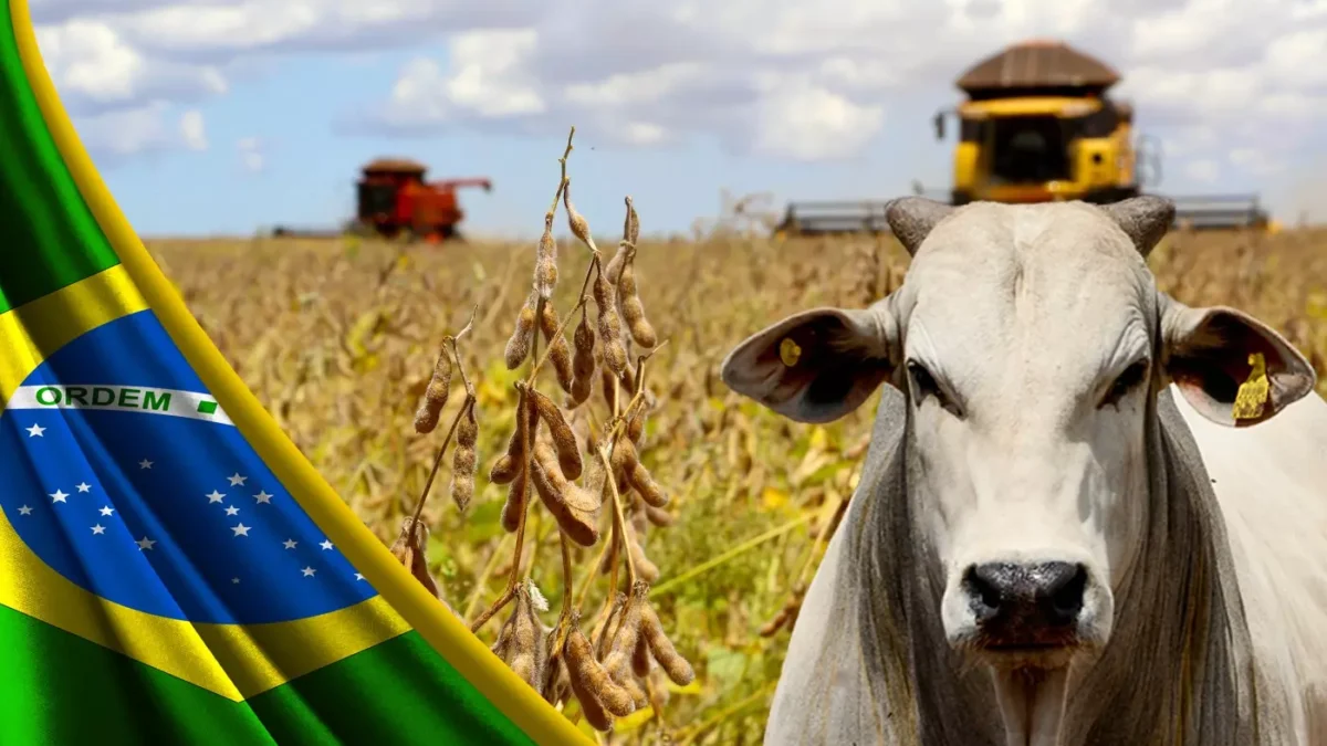 O Valor Bruto da Produção (VBP) de 2023 , obtido com base nas informações de novembro, atingiu o valor recorde