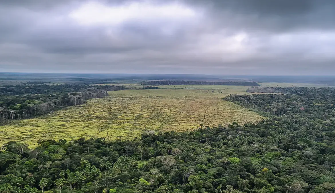 Em novembro, a Amazônia registrou a maior queda na taxa de desmatamento de todo o ano