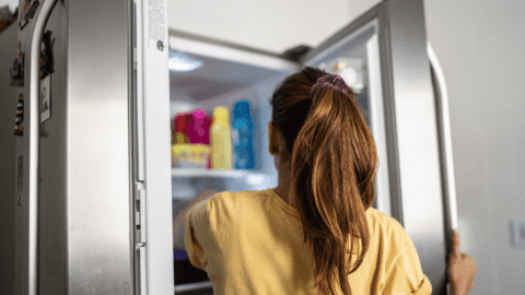 MME estabelece novos índices de eficiência para refrigeradores domésticos
