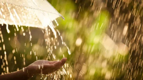 Primeiro trimestre de 2024 pode ter calor e chuva acima da média histórica em Minas Gerais 1 Primeiro trimestre de 2024 pode ter calor e chuva acima da média histórica em Minas Gerais
