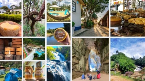 Conheça o catálogo de experiências turísticas na área rural lançado pela Emater 2 Conheça o catálogo de experiências turísticas na área rural lançado pela Emater