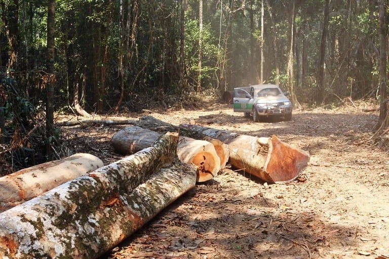 Justiça bloqueia R$ 37,2 milhões em bens de responsável por desmatar 1,6 mil hectares de floresta amazônica 1 A Advocacia-Geral da União (AGU) obteve, na Justiça Federal do Amazonas, o bloqueio liminar de R$ 37,2 milhões em bens e valores de