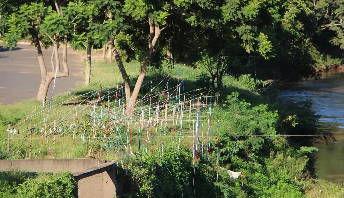 No Rio Paraopeba, em Brumadinho (MG), varas de bambu com panos coloridos preenchem uma das margens e a ponte que passa por cima das águas