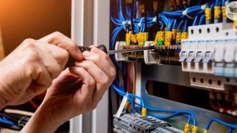 Homens egressos do sistema prisional e em cumprimento de penas alternativas concluem curso de Eletricista Predial no Cefet 