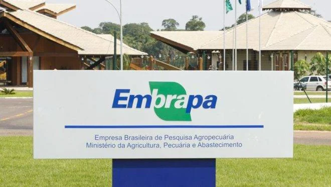 Embrapa comemora recorde de participações no e-Campo 1 Resultados de um dos mais bem sucedidos programas de capacitação da Embrapa, o e-Campo
