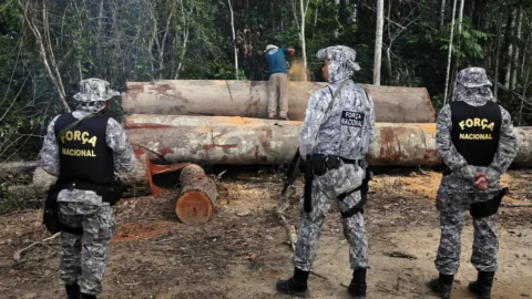 Governo prorroga atuação da Força Nacional na Amazônia Legal