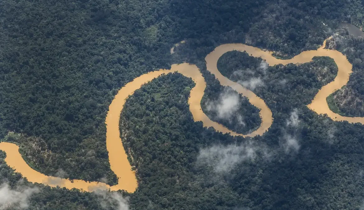 A Noruega anunciou nesta segunda-feira (11) um aporte de US$ 50 milhões para o Fundo Amazônia