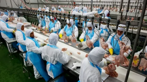 Singapura aprova pré-listagem para importação de proteína animal do Brasil