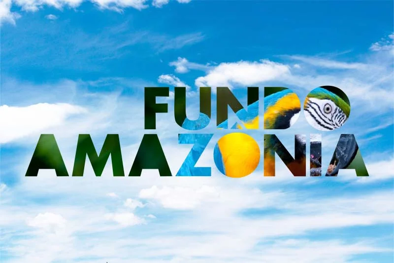 O Reino Unido anunciou hoje (2) a doação de 35 milhões de libras (cerca de R$ 215 milhões) adicionais para o Fundo Amazônia