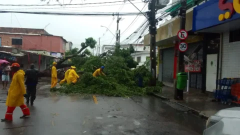 Nordeste terá chuvas volumosas de amanhã até sexta-feira, alerta Inmet 5 Nordeste terá chuvas volumosas de amanhã até sexta-feira, alerta Inmet