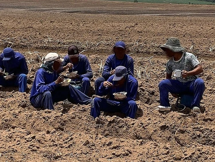 Destaques dos jornais e portais integrantes da Rede Sindijori MG 1 Na maioria dos casos, a pessoas foram encontradas na área rural (Reprodução)
