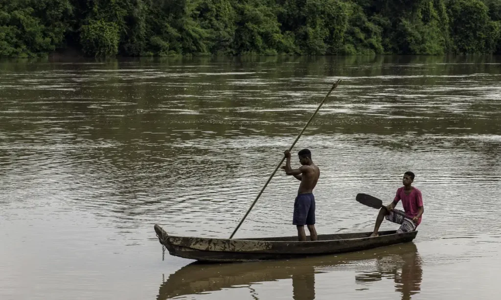 Além disso, dados demonstram que as comunidades de povos negros da América Latina contribuem para a preservação do meio ambiente em seus