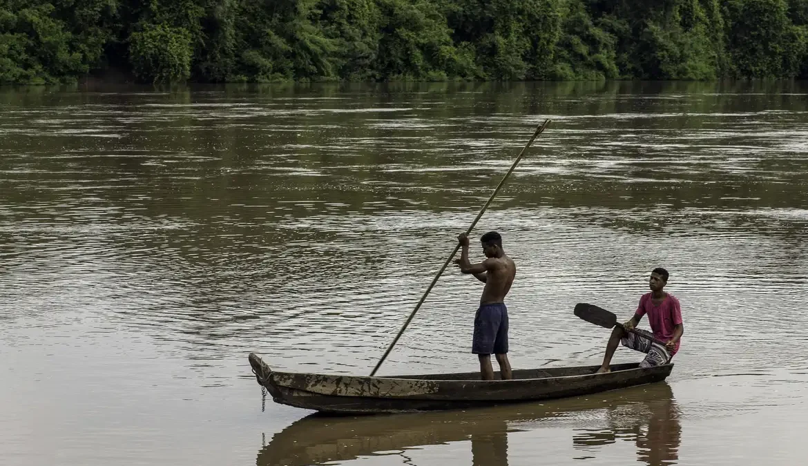 Além disso, dados demonstram que as comunidades de povos negros da América Latina contribuem para a preservação do meio ambiente em seus
