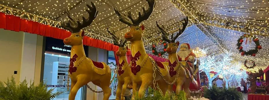Dezembro é o mês em que os presépios, cantatas, decoração especial e apresentações artísticas tomam as praças, ruas e parques, estimulando
