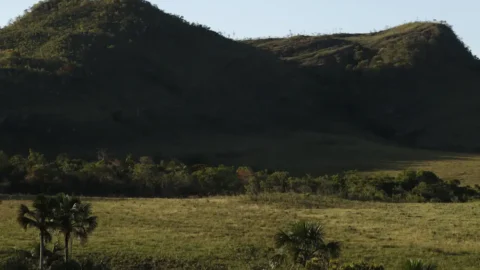 Territórios quilombolas são as áreas menos desmatadas do país