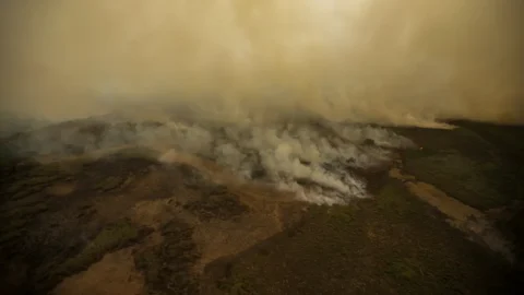 Pesquisa mede emissão de óxido nitroso na Amazônia e no Pantanal 1 Pesquisa mede emissão de óxido nitroso na Amazônia e no Pantanal