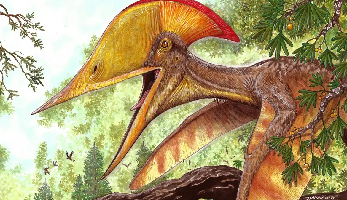 A revista científica Scientific Reports publicou, nesta quinta-feira (21), artigo que revela uma nova espécie de pterossauro