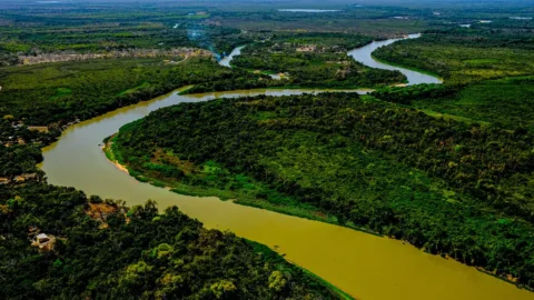 Lei do Pantanal é sancionada para garantir conservação do bioma