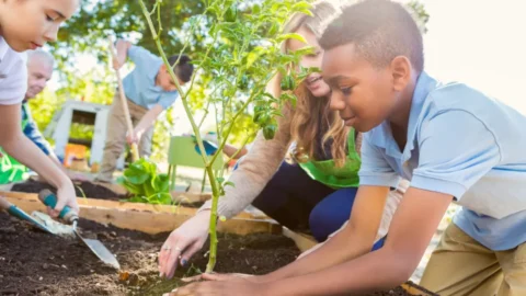 Novo Edital do Programa Jovens Mineiros Sustentáveis contempla mais 34 municípios e amplia alcance em Minas