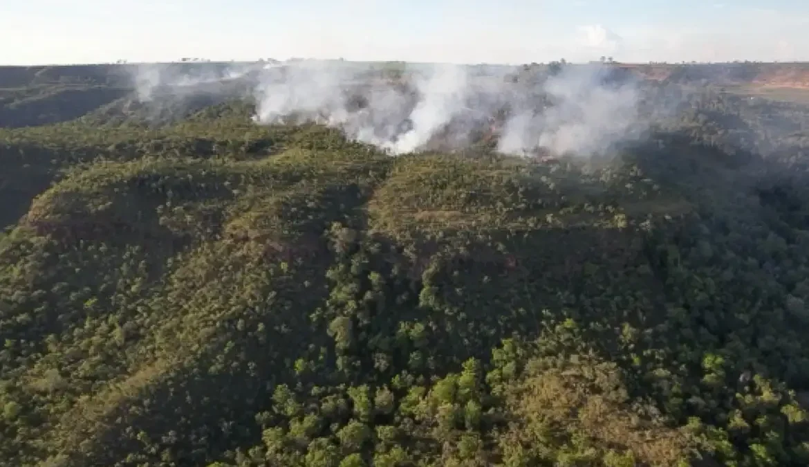 Incêndio atinge divisa do Santuário de Elefantes em Mato Grosso 1 Um incêndio acidental, que teve início nesta quinta-feira (28), atingiu os fundos da propriedade do Santuário dos Elefantes – Brasil