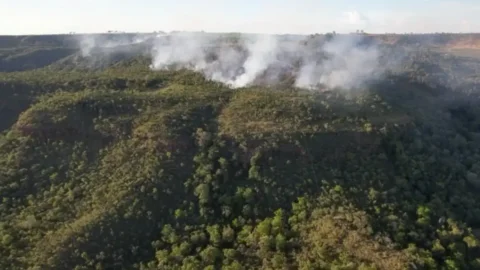 Incêndio atinge divisa do Santuário de Elefantes em Mato Grosso 6 Incêndio atinge divisa do Santuário de Elefantes em Mato Grosso