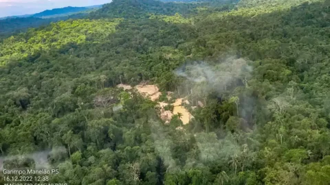 Comissão do Senado aprova porte de arma a agentes da Funai 8 Comissão do Senado aprova porte de arma a agentes da Funai