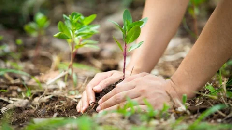 Mais três municípios mineiros assumem o licenciamento ambiental em Minas
