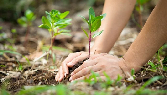 O licenciamento ambiental municipal, também conhecido como municipalização, conta com duas frentes em Minas Gerais