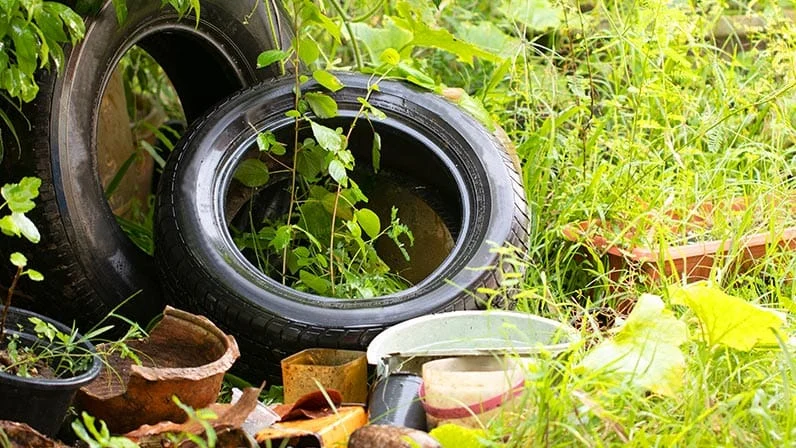 Dengue: DF vai aplicar multa em caso de descarte irregular de lixo 1 O governo do Distrito Federal (GDF) vai aplicar multas a quem jogar lixo nas ruas de maneira inadequada como parte das ações de combate