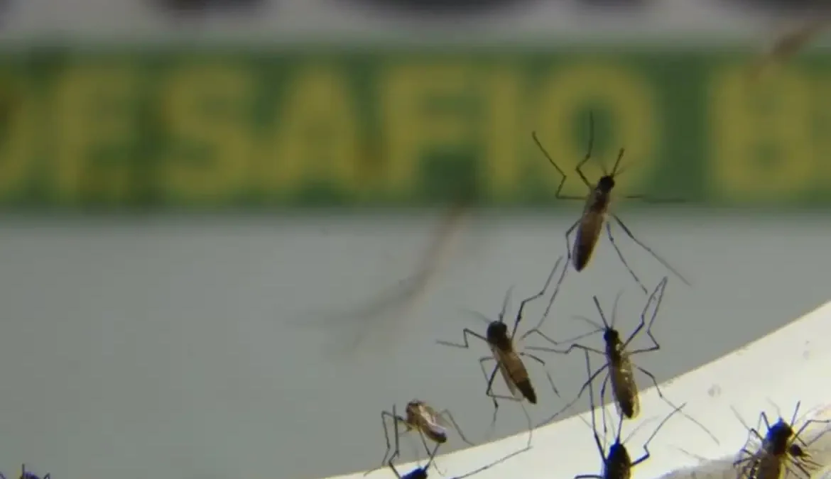 Rio de Janeiro registra mais de 17 mil casos de dengue este ano 1 Nas quatro primeiras semanas de 2024, o Rio de Janeiro teve 17.437 casos prováveis de dengue