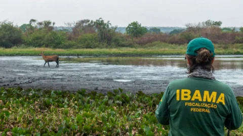 Governo Federal retoma política ambiental e climática em 2023 1 Governo Federal retoma política ambiental e climática em 2023