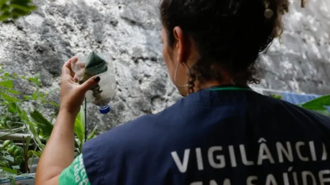 Minas Gerais pode atingir pico de dengue até março 1 Minas Gerais pode atingir pico de dengue até março